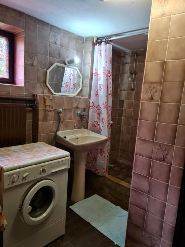 a bathroom with a washing machine and a sink at Chalupa Zvičina 