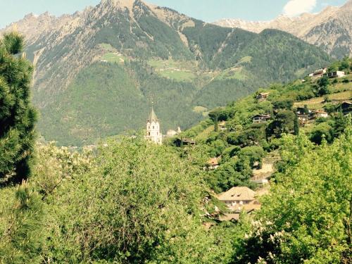 メラーノにあるResidence Hubertusの山を背景にした谷村