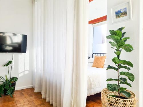 una camera con letto e pianta in vaso di 13 Middelhof a Città del Capo