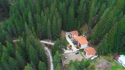 an aerial view of a house in the middle of a forest at Ивелия Къща за гости in Dospat