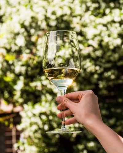 a person holding a glass of white wine at Casa Lila in Mendoza
