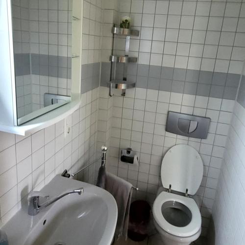 Wiesenhof في اورشولز: حمام صغير مع مرحاض ومغسلة