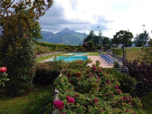 a swimming pool with chairs and flowers in a garden at Albergo Ristorante Belvedere in Minucciano