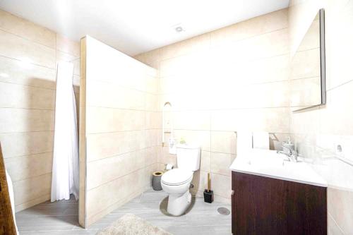 een badkamer met een toilet en een wastafel bij 2 bedrooms house with shared pool enclosed garden and wifi at Vilar de Ferreiros in Vilar de Ferreiros