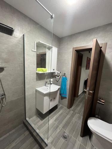 y baño con lavabo y ducha acristalada. en Apartments Baja en Ulcinj