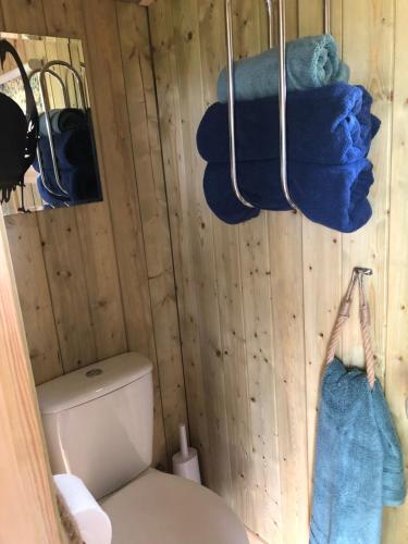 ein Bad mit WC und Handtüchern an der Wand in der Unterkunft The Peacock Shepherds Hut at Hafoty Boeth in Corwen