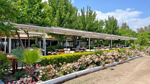a row of tables and flowers in a garden at Aida Hotel in Cıralı