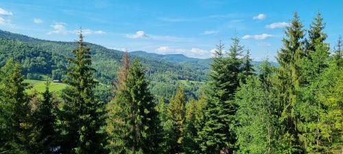 Un grupo de árboles con montañas al fondo. en Chata Línia, en Kokava na Rimavica