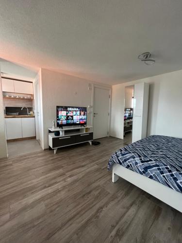 a bedroom with a bed and a flat screen tv at Patche Residence - A Wine Cellar Hideaway in the Historic Home of Revolutionary Metodi Patche in Ohrid