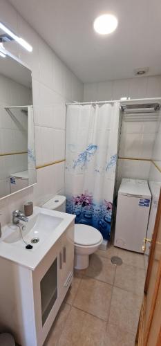 La salle de bains est pourvue d'un lavabo, de toilettes et d'une douche. dans l'établissement Los Jardines de la Catedral, à Oviedo