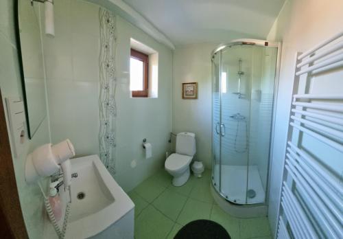 ein Bad mit einer Dusche, einem WC und einem Waschbecken in der Unterkunft Chata Línia in Kokava na Rimavica