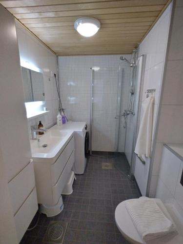 a bathroom with a sink and a toilet and a shower at Asuntos-2 in Lahti