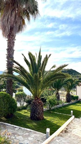 Gallery image of Palma Deluxe House in Sarti