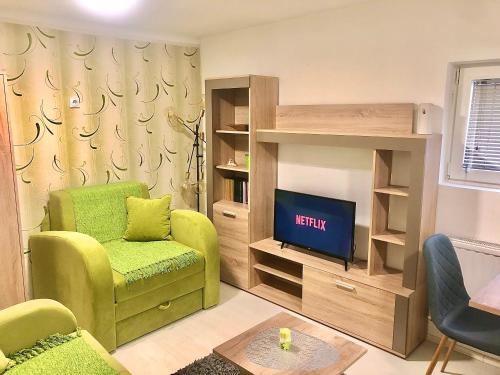 een woonkamer met een groene stoel en een tv bij Apartman Tadija Niš in Donja Vrežina