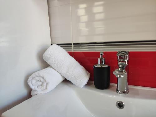 a bathroom sink with a roll of towels on a counter at City View Apartments in Lezhë