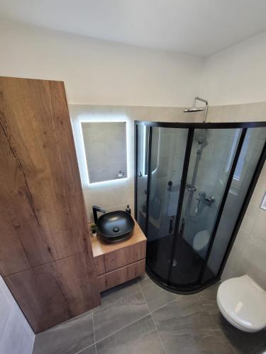 a bathroom with a shower and a sink and a toilet at Apartment Lo&Ti in Čižići