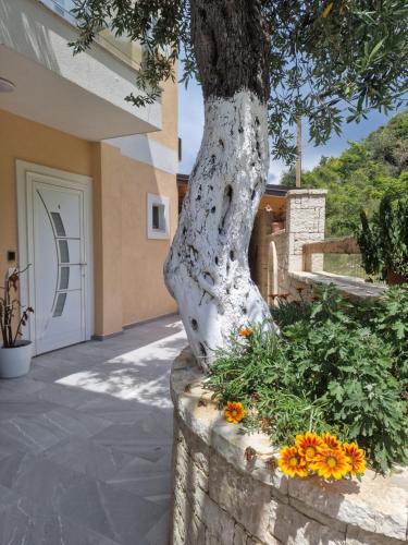 a tree in front of a building with flowers at Seaside Hotel in Himare