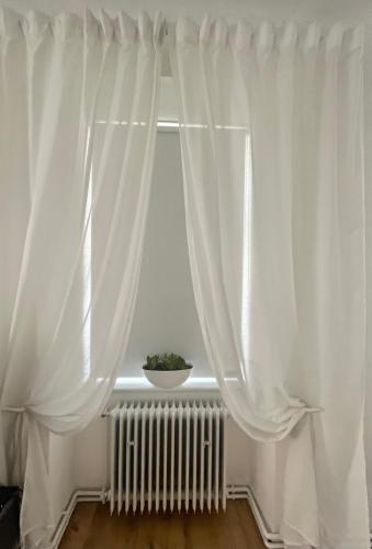 a window with white curtains and a plant on a radiator at Palác Daun - Studio Apartments in Znojmo