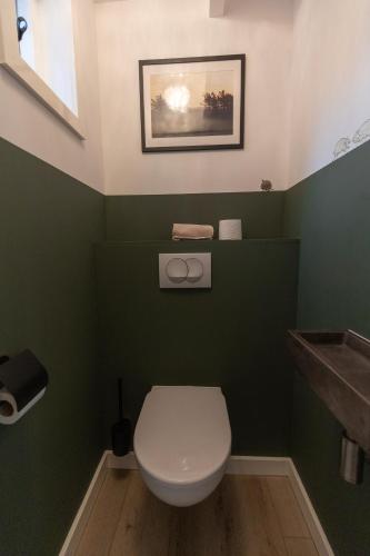 a bathroom with a toilet with green walls at Bed & Bike Schoudieck in Den Burg