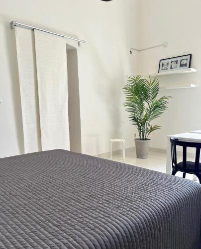 a bedroom with a bed and a potted plant at Palác Daun - Studio Apartments in Znojmo