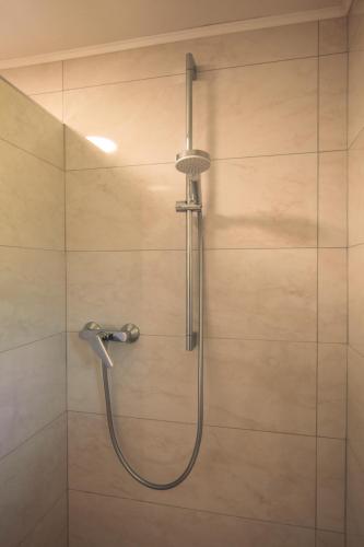 a shower with a shower head in a bathroom at Apartma Gorski razgled in Srednja Vas v Bohinju