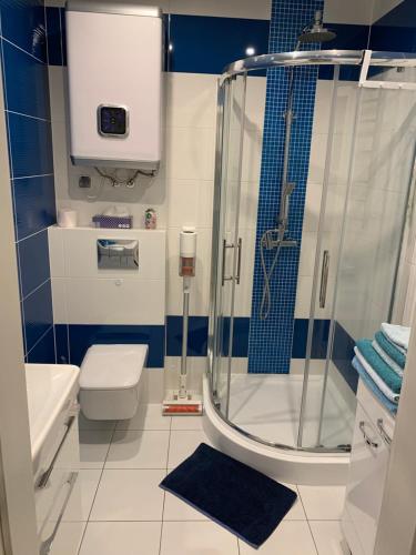a bathroom with a shower and a toilet at Apartament Marinero in Łukęcin