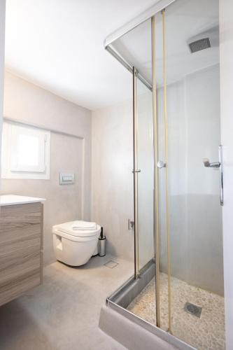 a bathroom with a toilet and a glass shower at Blue, White and Grey Suites in Ornos