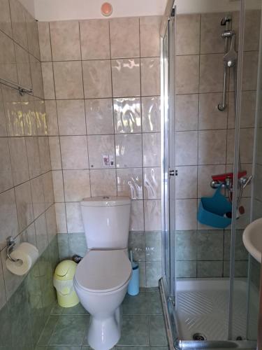 een badkamer met een toilet en een douche bij Studio un nid in Douliana