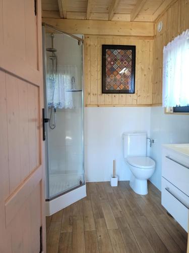 a bathroom with a toilet and a glass shower at Słoneczne Mazury - Dom Wakacyjny in Piasutno
