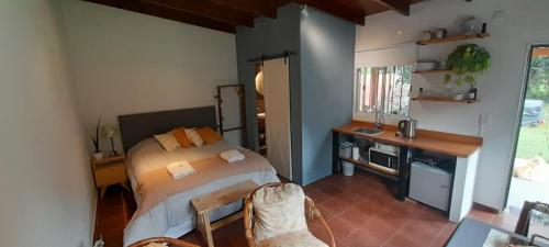 Schlafzimmer mit einem Bett, einem Schreibtisch und einem Waschbecken in der Unterkunft La Adelita in Chascomús