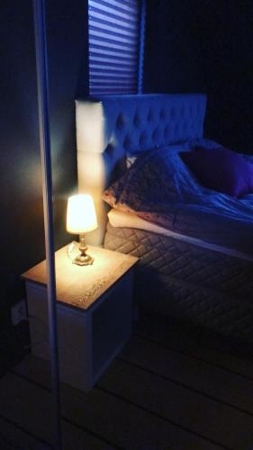 a bedroom with a bed with a lamp on a night stand at Split in Veberöd