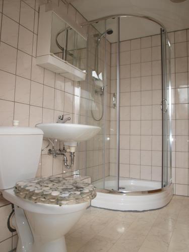 a bathroom with a toilet and a sink and a shower at Pension Partzsch in Siebenlehn