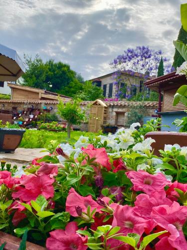a bunch of pink and white flowers in a garden at Necip Bey Konağı in Antalya