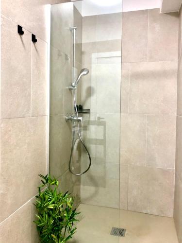 a shower with a glass door with a plant at Veli Apartments 348 Infinity in Mamaia Sat/Năvodari