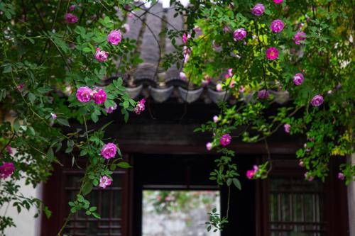 a bunch of pink flowers in front of a door at Crowne Plaza Suzhou by IHG in Suzhou