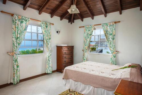 聖詹姆斯的住宿－Ferron House，一间卧室设有一张床和两个窗户。