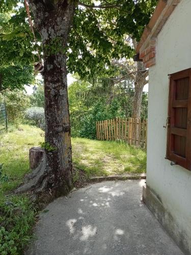 Zahrada ubytování Casa RosaMatilda