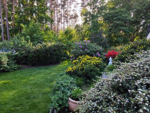 a garden with flowers and plants in a yard at Waldidylle in Küsten