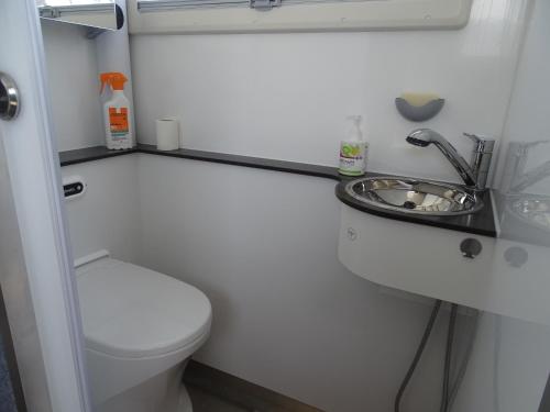 a small bathroom with a toilet and a sink at Wohnen auf der Marina Lagovida, Hausboot mit Sonnenterrassen auf 20 qm in Großpösna