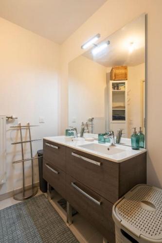 une salle de bain avec un lavabo et un miroir dans l'établissement Cocon Villanueva, à Saint-Denis