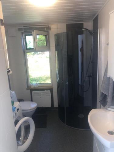 La salle de bains est pourvue d'une douche, de toilettes et d'un lavabo. dans l'établissement Kemping 1, à Föglö