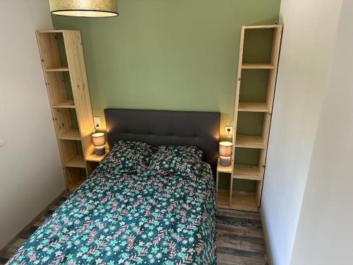 a bedroom with a bed and two book shelves at Les hirondelles au bord de l'eau in Guipry-Messac