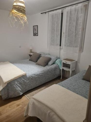 - un salon avec deux lits et une fenêtre dans l'établissement Charmant Appart cosy climatisé avec terrasse, à Bessèges