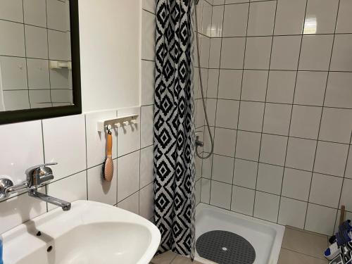 y baño con lavabo y ducha. en Sremski Karlovci Center Homestay en Sremski Karlovci