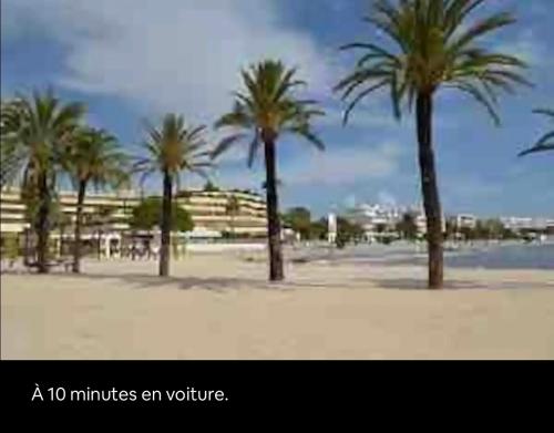 a minutes an picture of a beach with palm trees at Agréable studio (2) 27m2 Terrasse, Parking, Piscine in Saint-Laurent-du-Var