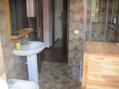 ein Bad mit einem Waschbecken und einer Dusche in der Unterkunft Casa vacanze Fregè in Castione Andevenno