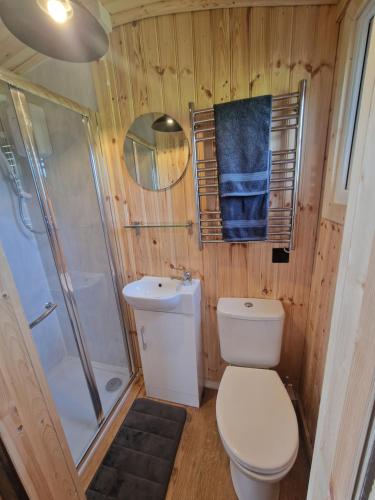 a bathroom with a toilet and a shower and a sink at Cwtch Glamping Shepherds Huts in Abergavenny