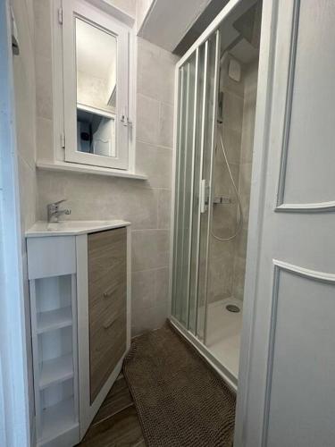 une salle de bain avec une douche, un lavabo et un miroir dans l'établissement Face à la mer, appartement RDC Bray dunes, à Bray-Dunes