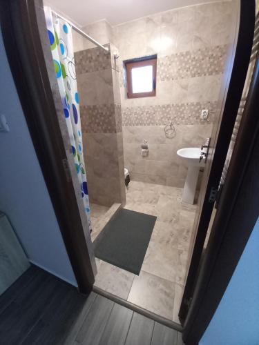 y baño con ducha y lavamanos. en Cabana BRO Clisura Dunarii en Liborajdea
