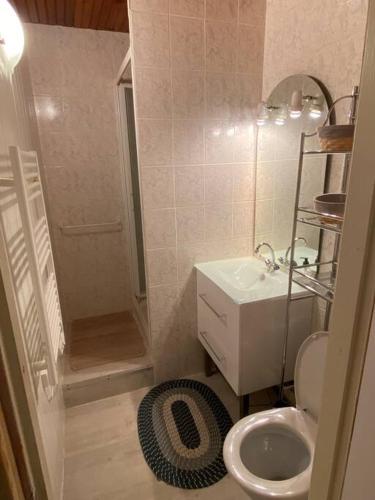 Baño pequeño con aseo y lavamanos en Appartement 4p Eaux-Bonnes, en Eaux-Bonnes